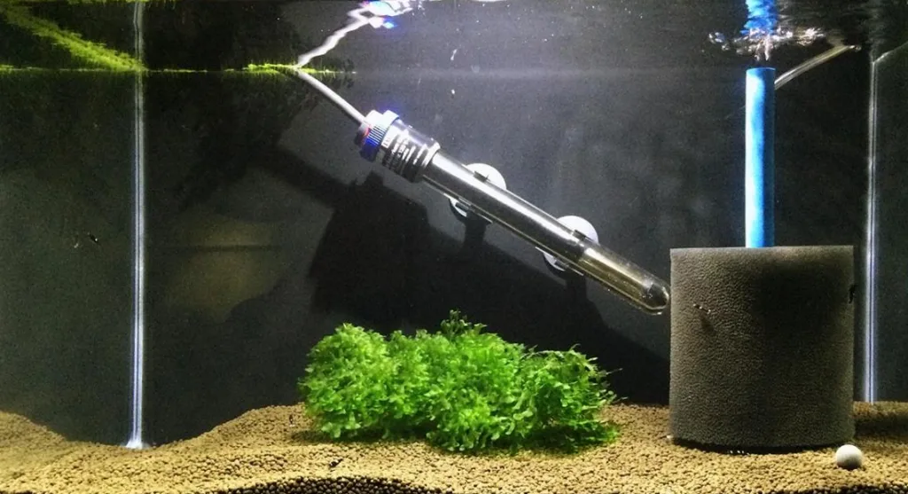 aquarium equipment