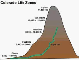 Colorado life zones