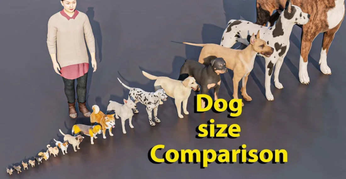 decision tree dog breed selection