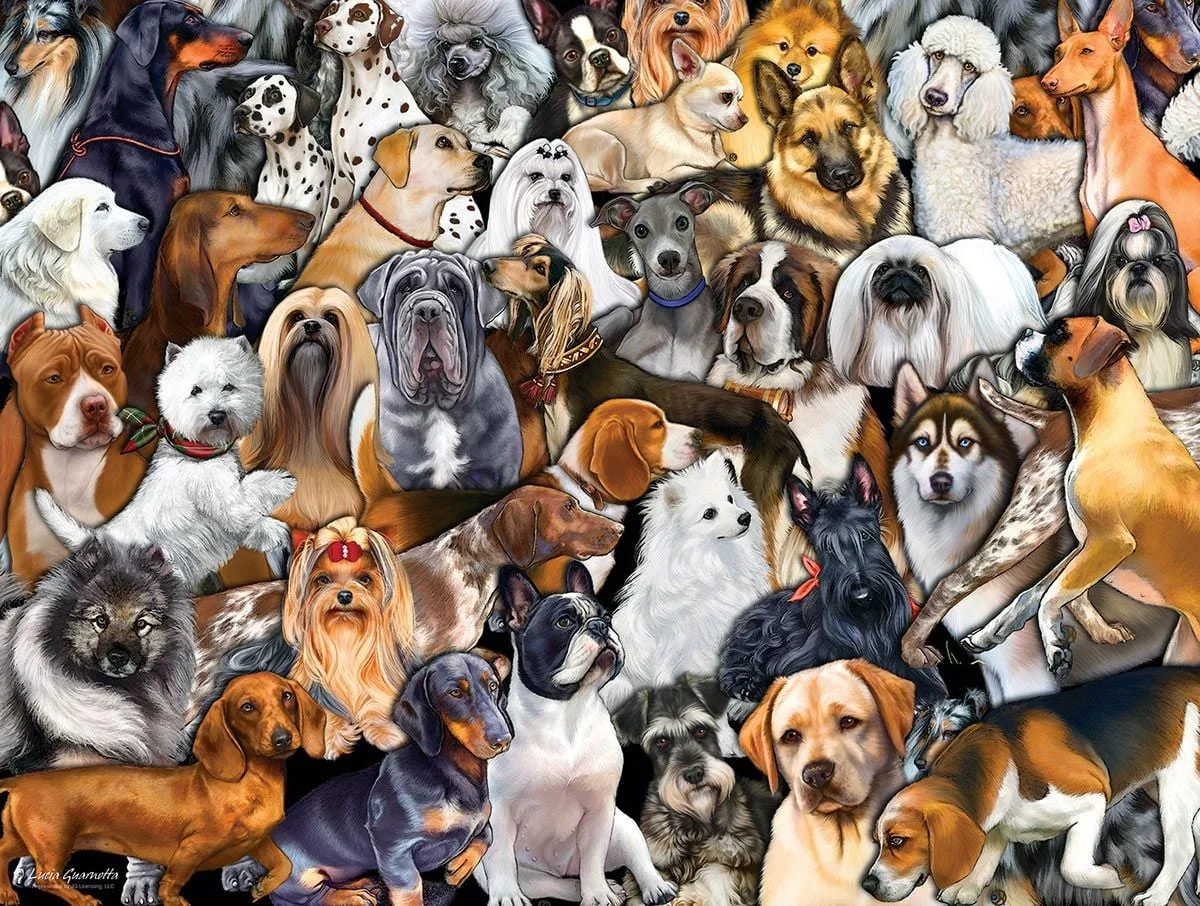dog breeds that start with z