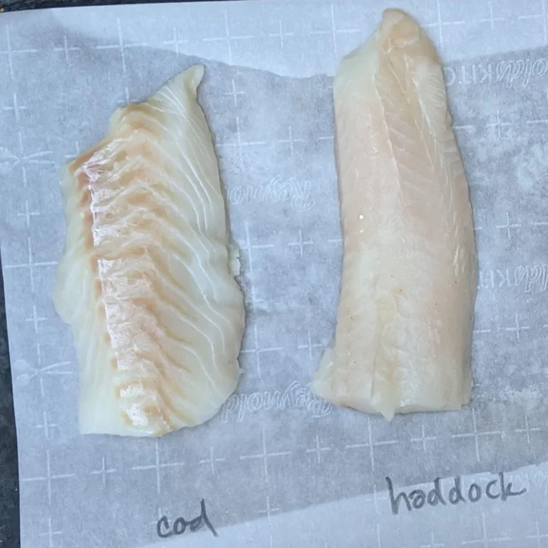 fish that start with h
