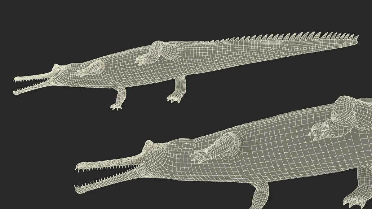 gharial crocodile snout