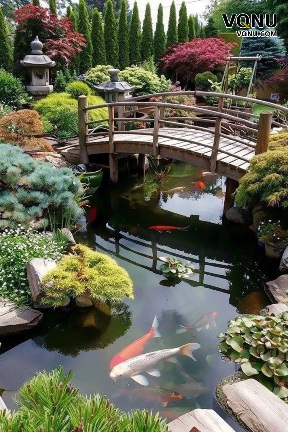 Japanese Koi