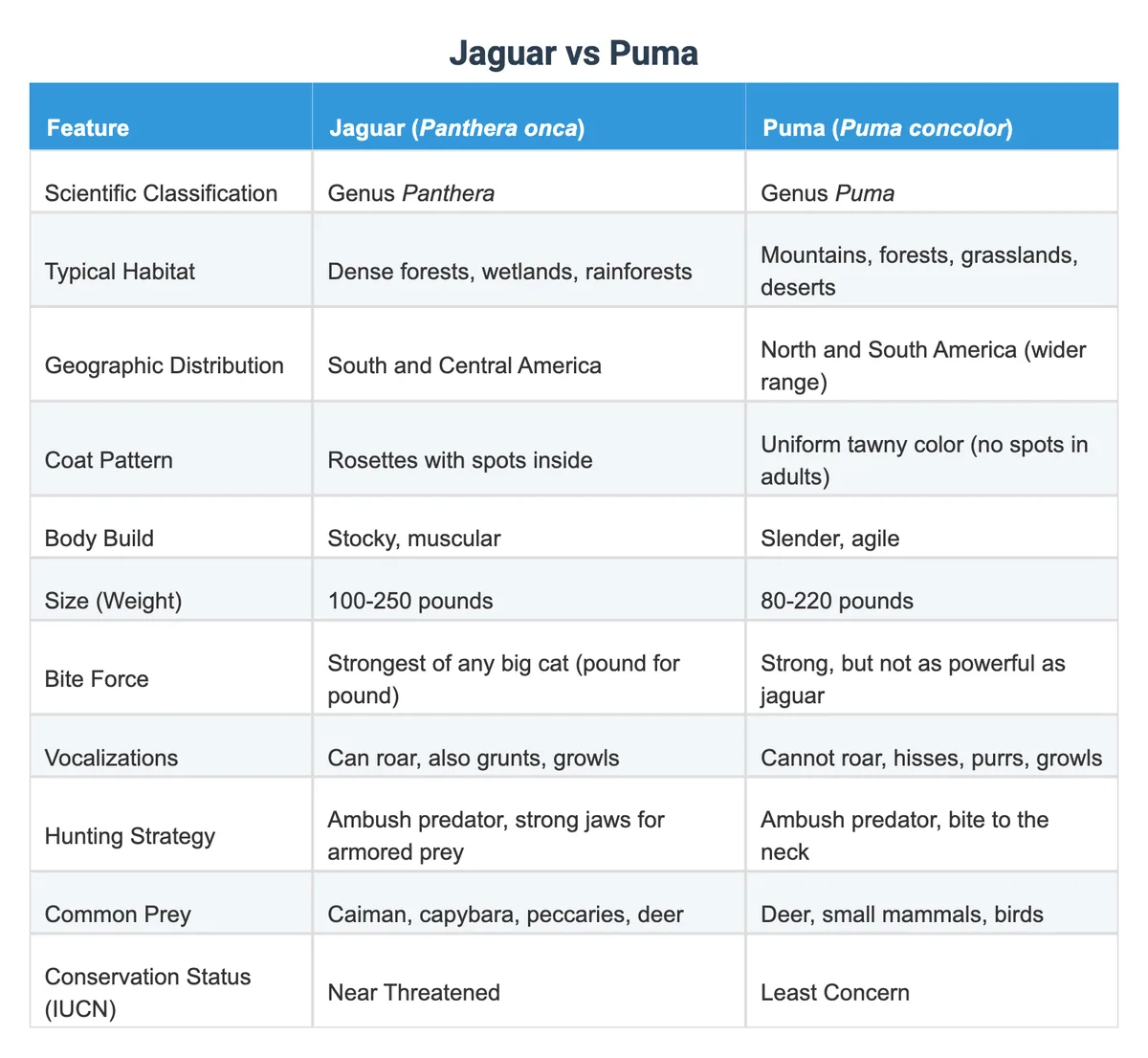 puma jaguar comparison