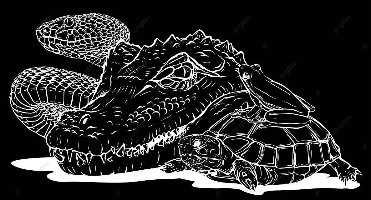 reptile identification