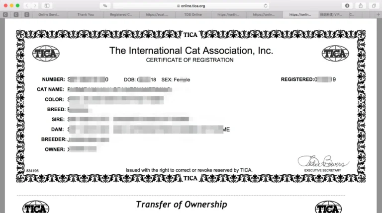 TICA breed registration certificate